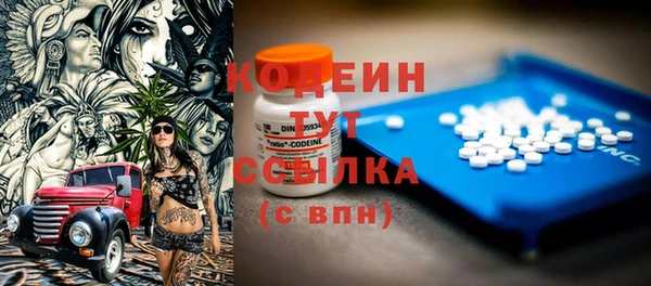 ECSTASY Алзамай