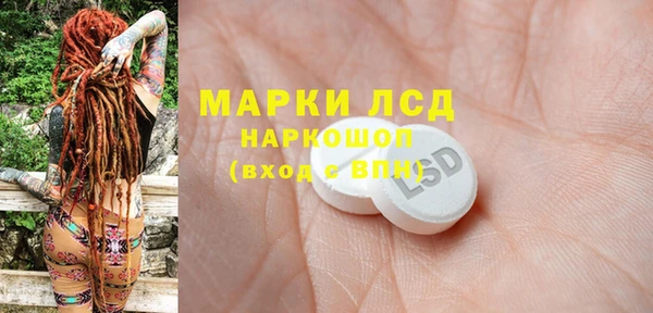 ECSTASY Алзамай