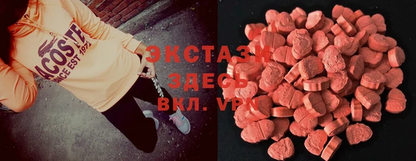ECSTASY Алзамай